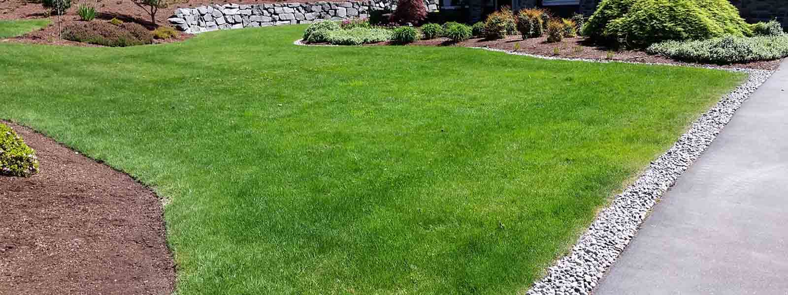 The Lawn Barber Land Clearing & Grading Long Island